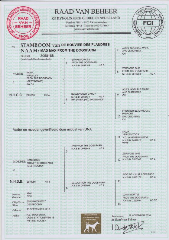 Stamboom